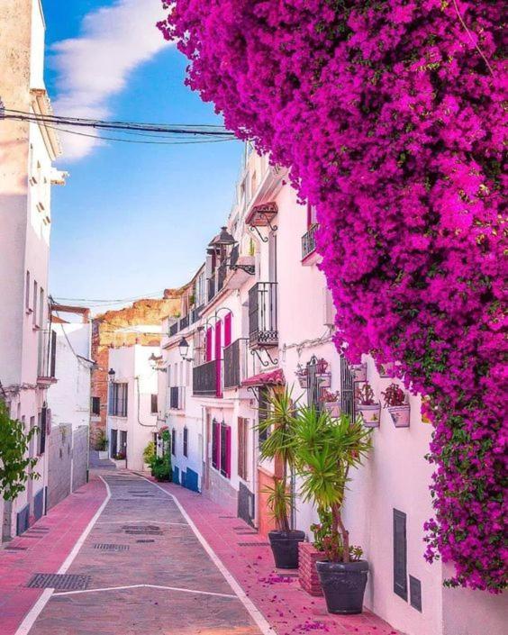 Casa De Frida Lejlighed Marbella Eksteriør billede